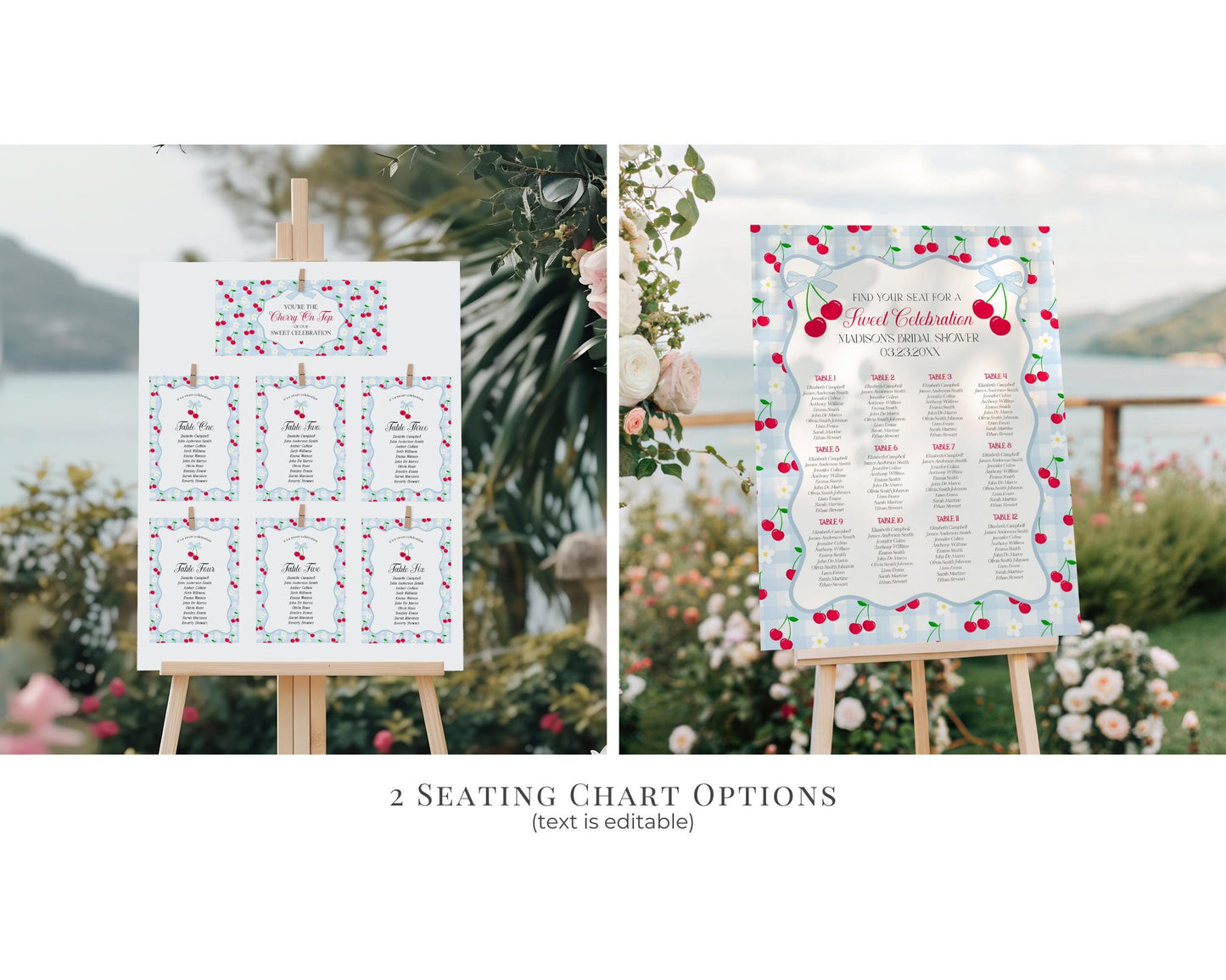 Blue Cherry Gingham Birthday Bundle Printable Template, Coquette Cherry Sweet Birthday Celebration, Pastel Gingham Party Decor WP1072