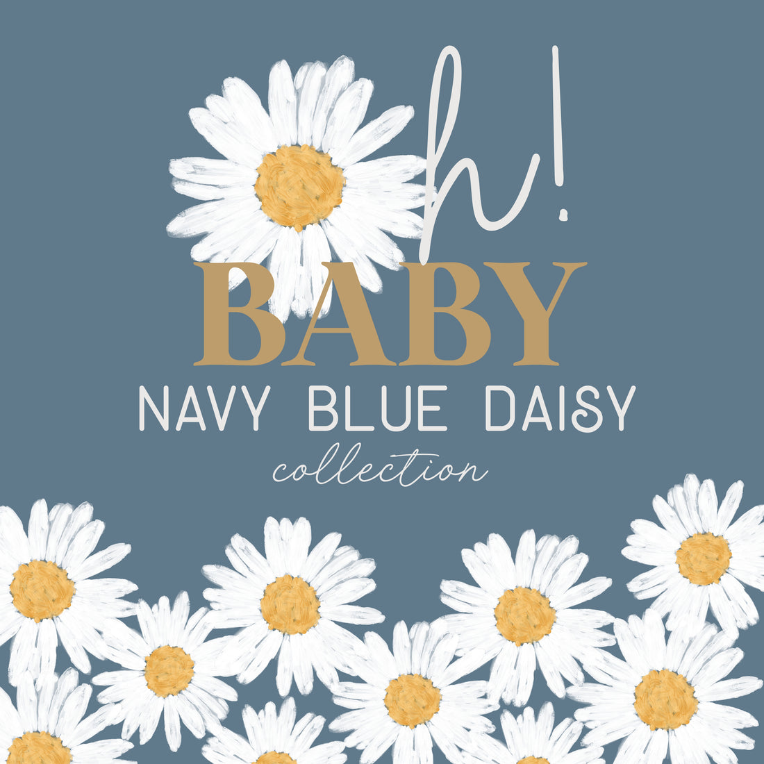  Navy Daisy