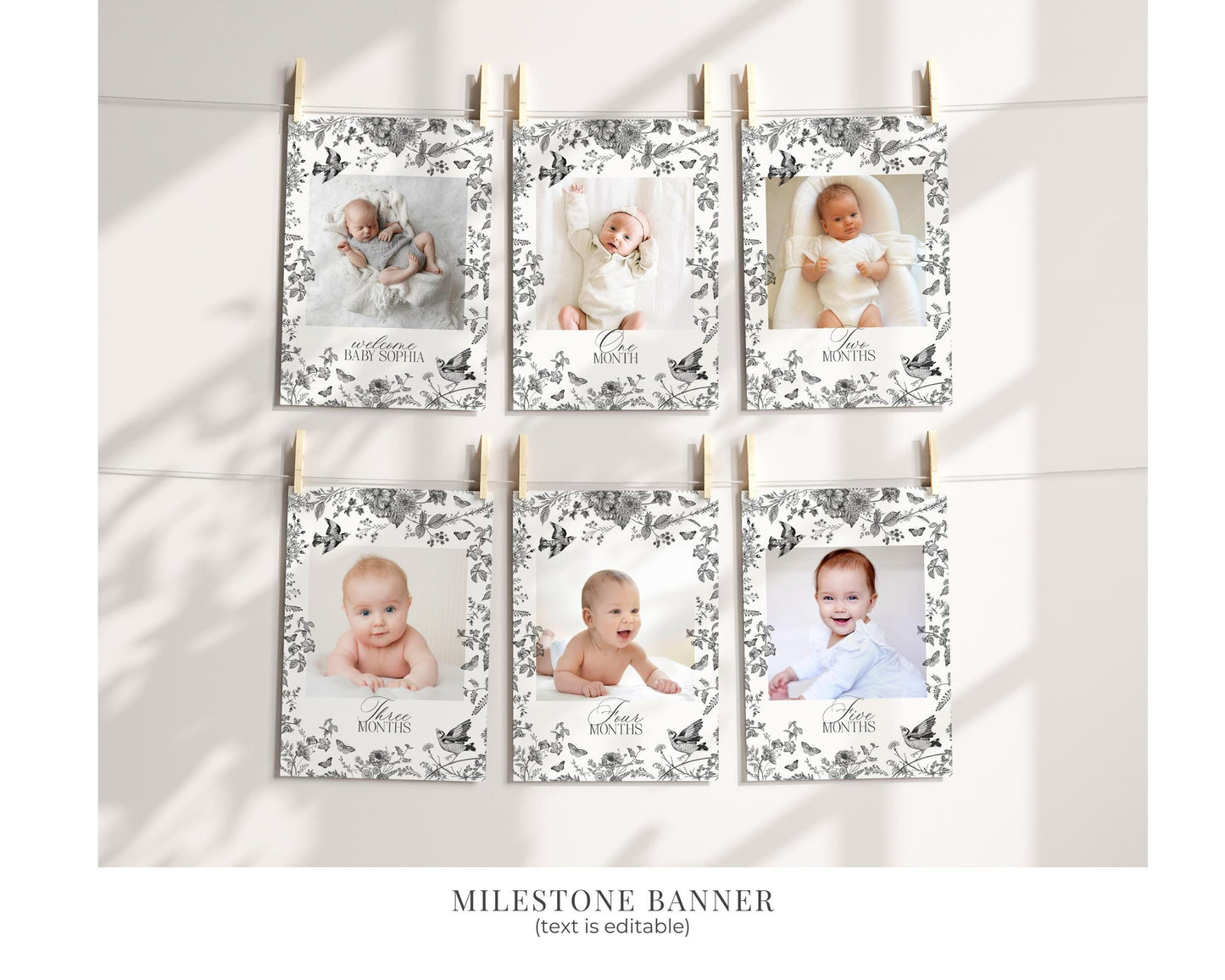 Black Toile De Jouy First Birthday Bundle Printable Template, Black Chinoiserie First Birthday Party Decor, Wildflower Toile Decor WP1069