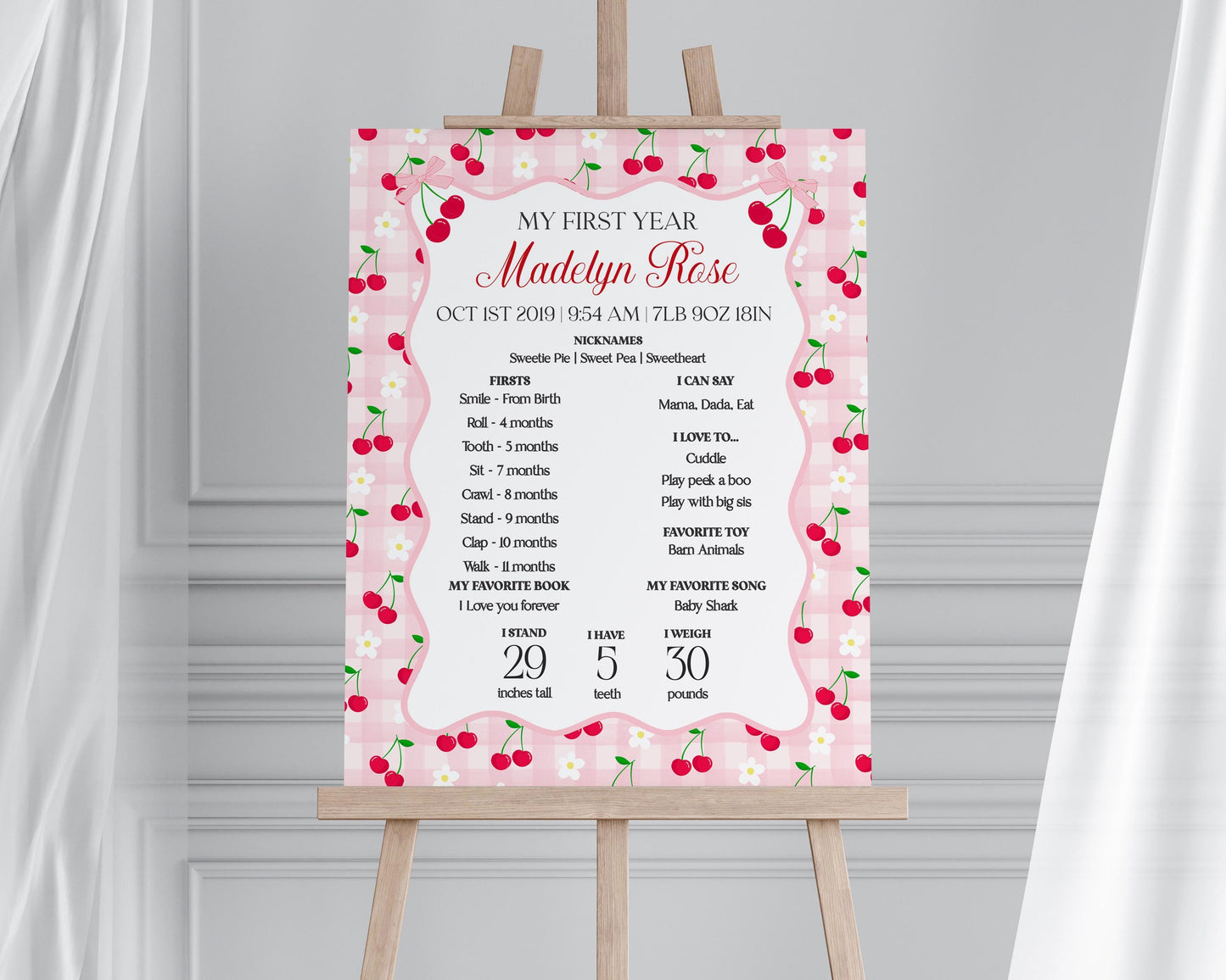 Pink Cherry Gingham First Year Milestone Sign Printable Template, Coquette Sweet Cherry First Birthday Party, Pastel Party Decor WP1071