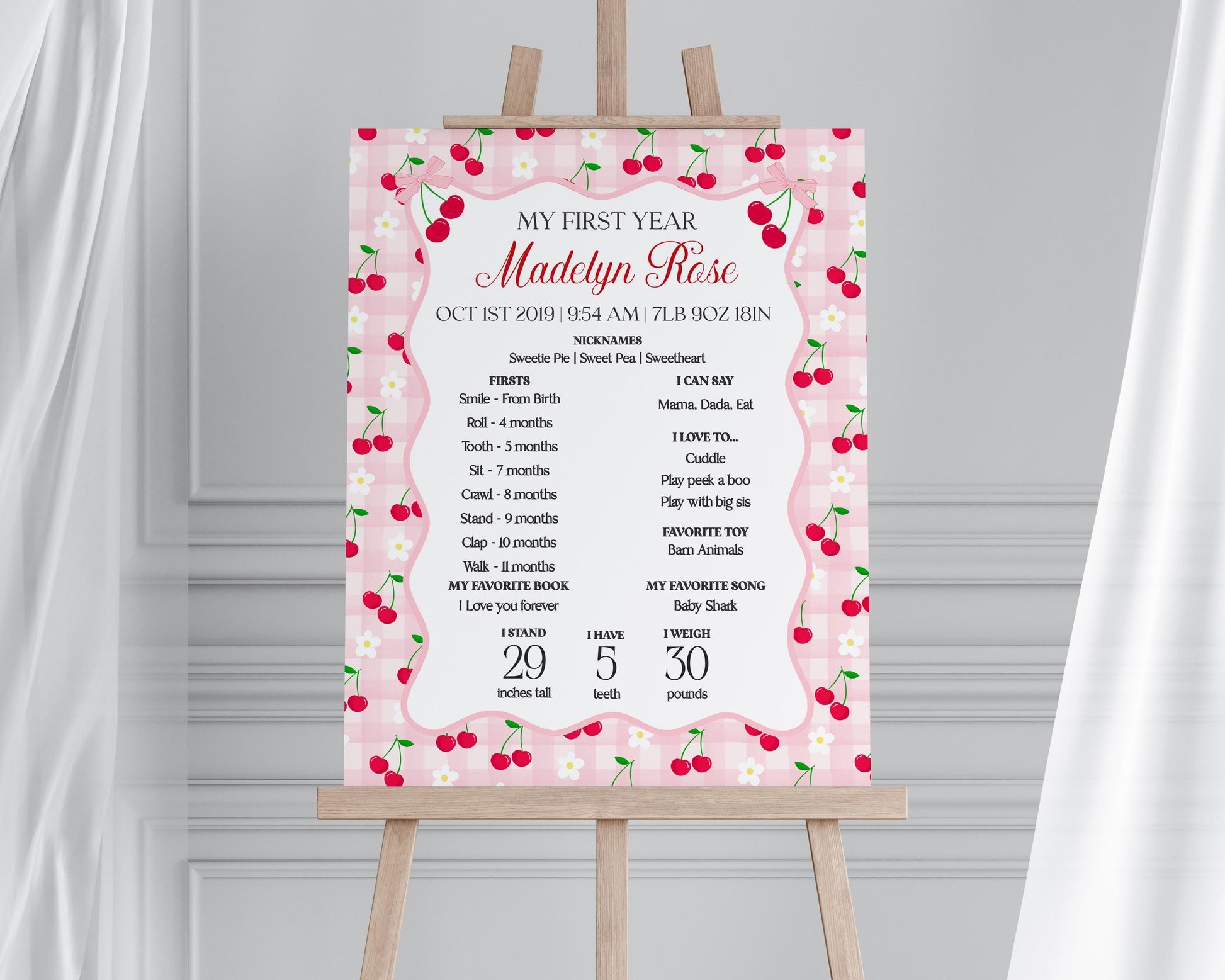 Pink Cherry Gingham First Year Milestone Sign Printable Template, Coquette Sweet Cherry First Birthday Party, Pastel Party Decor WP1071