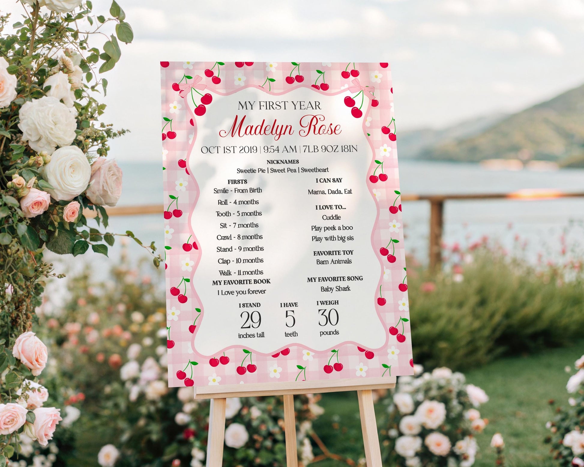 Pink Cherry Gingham First Year Milestone Sign Printable Template, Coquette Sweet Cherry First Birthday Party, Pastel Party Decor WP1071
