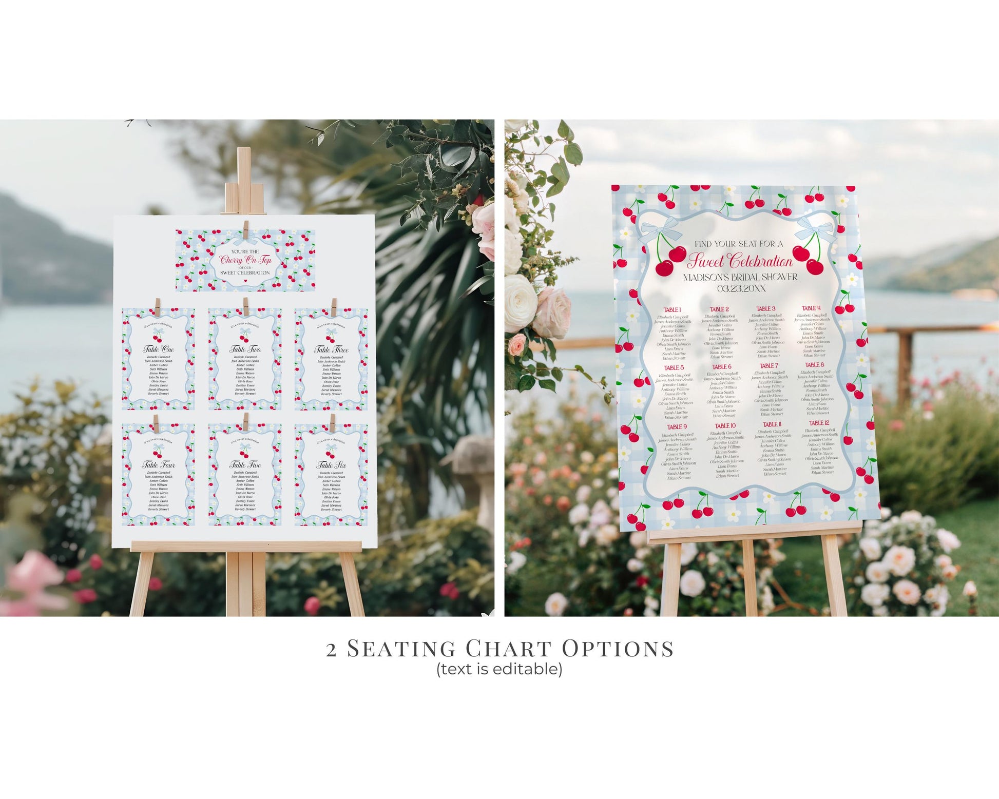 Blue Cherry Gingham First Birthday Bundle Printable Template, Coquette Sweet Cherry First Celebration, Pastel Gingham Party Decor WP1072