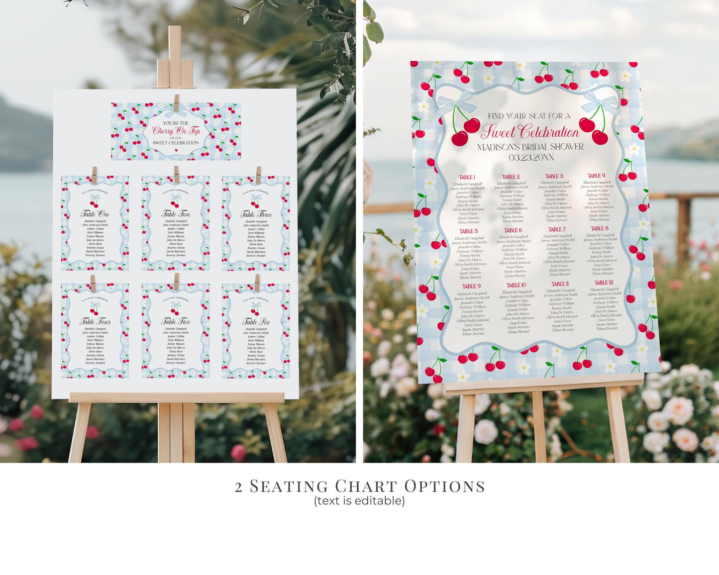 Blue Cherry Gingham Bachelorette Bundle Template, Coquette Cherry Sweet Hen Party, Pastel Gingham Engagement Girls Night Decor WP1072