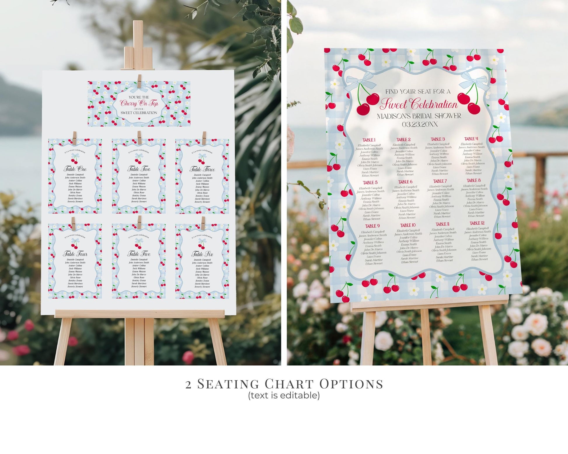 Blue Cherry Gingham Bachelorette Bundle Template, Coquette Cherry Sweet Hen Party, Pastel Gingham Engagement Girls Night Decor WP1072