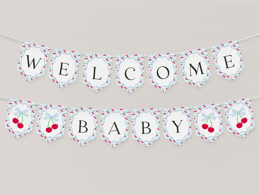 Blue Cherry Gingham Baby Shower Banner Template, Coquette Sweet Cherry on Top Baby Sprinkle, Pastel Gingham Nesting Party Decor WP1072