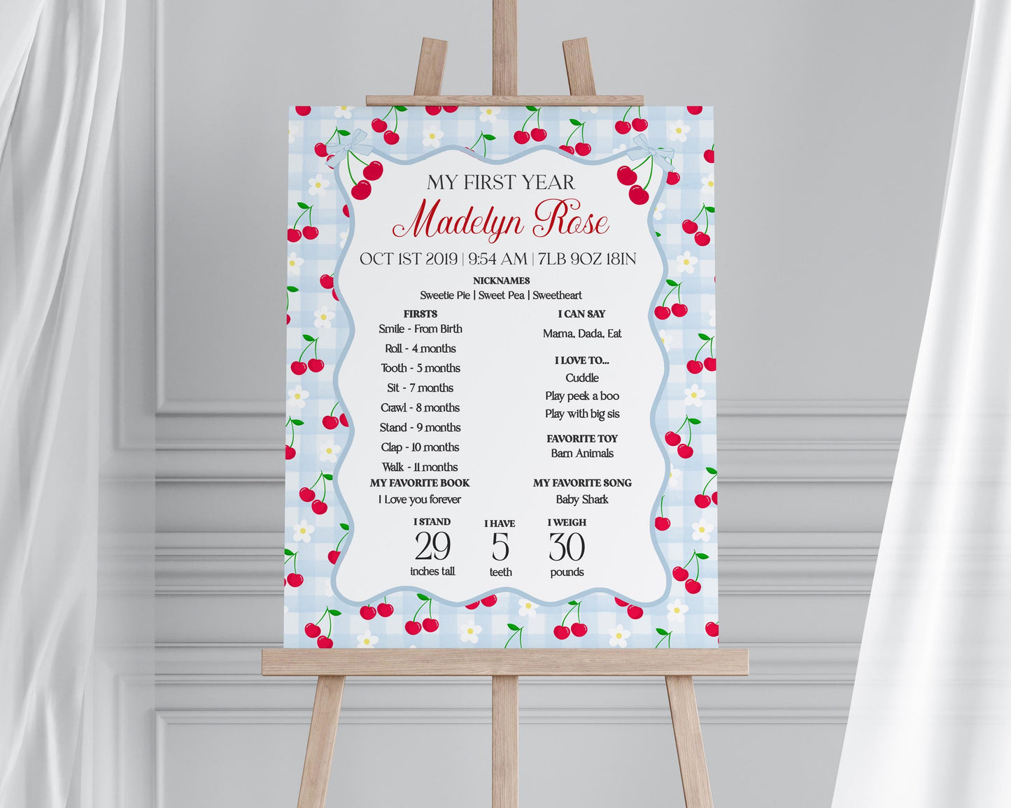 Blue Cherry Gingham First Year Milestone Sign Printable Template, Coquette Sweet Cherry First Birthday Party, Pastel Party Decor WP1072