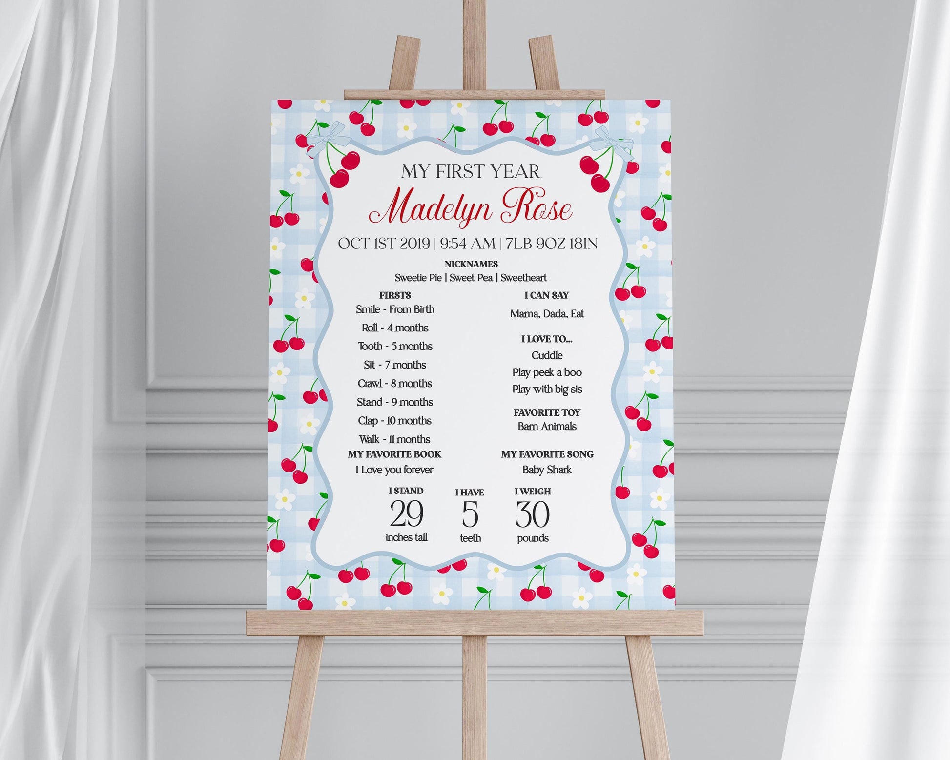 Blue Cherry Gingham First Year Milestone Sign Printable Template, Coquette Sweet Cherry First Birthday Party, Pastel Party Decor WP1072