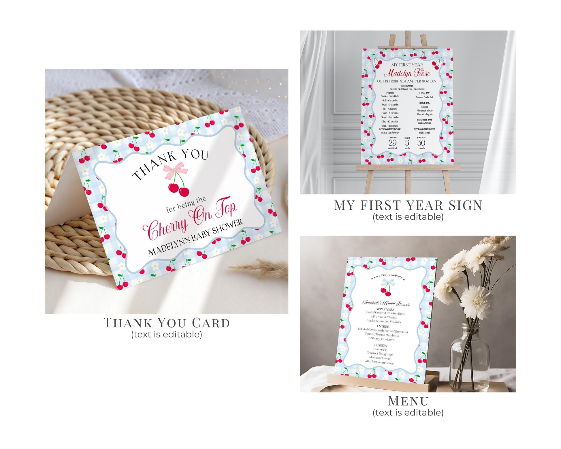 Blue Cherry Gingham First Birthday Bundle Printable Template, Coquette Sweet Cherry First Celebration, Pastel Gingham Party Decor WP1072