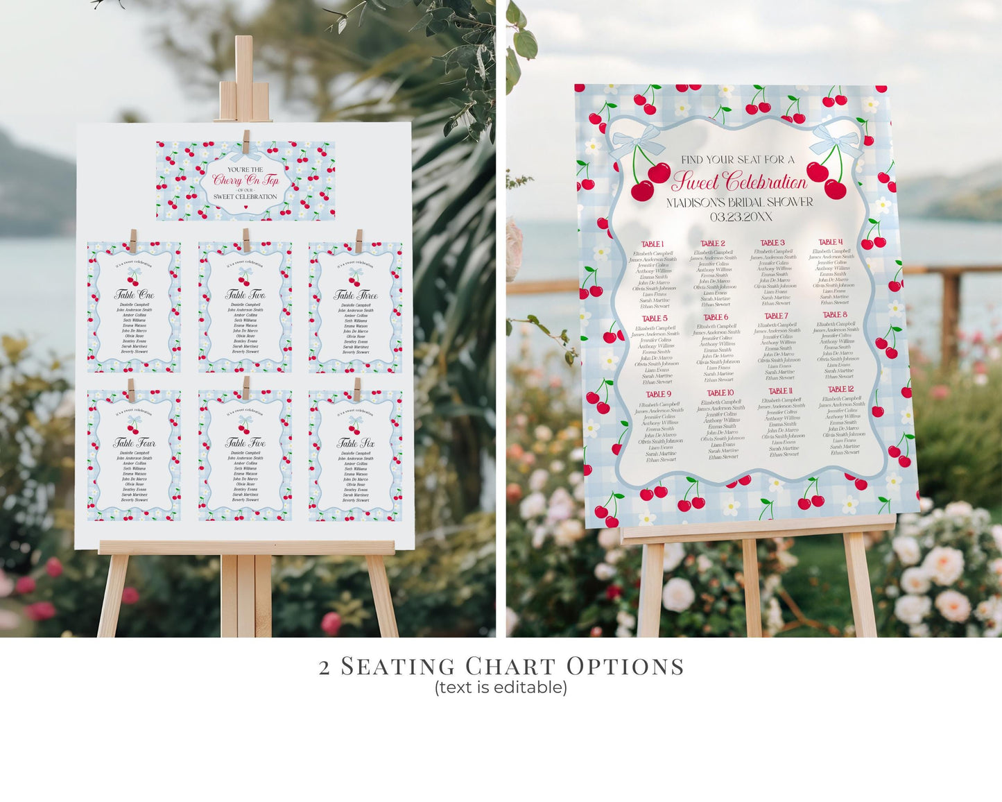 Blue Cherry Gingham Bridal Shower Bundle Printable Template, Coquette Cherry Sweet Bridal Brunch, Pastel Engagement Party Decor WP1072