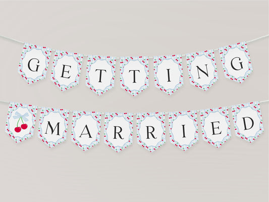 Blue Cherry Gingham Bridal Shower Banner Template, Coquette Cherry Sweet Bridal Brunch, Pastel Gingham Engagement Party Decor WP1072