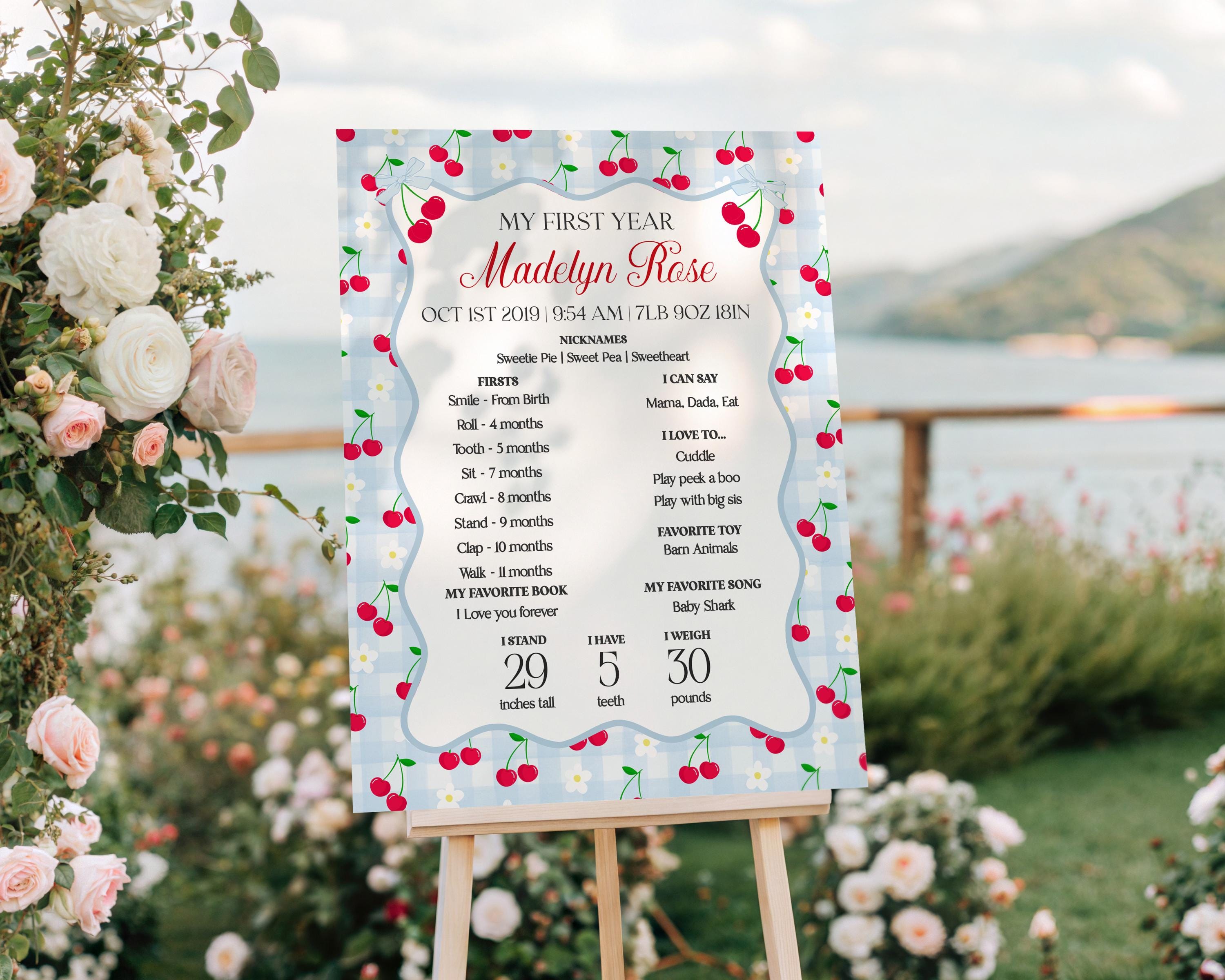 Blue Cherry Gingham First Year Milestone Sign Printable Template, Coquette Sweet Cherry First Birthday Party, Pastel Party Decor WP1072