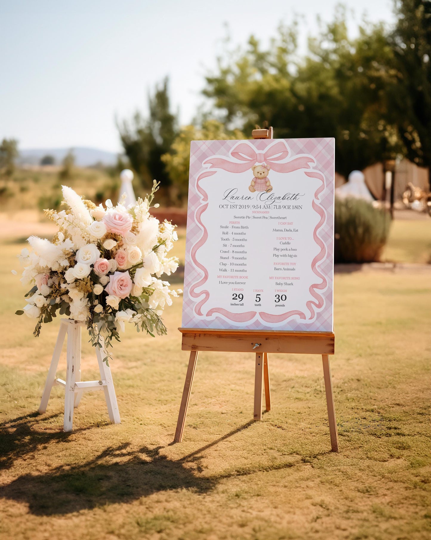 Pink Tartan Plaid Bear First Year Milestone Sign Printable Template, Beary First Birthday Decor, Old Money Bday Coquette Bow Party WP1090