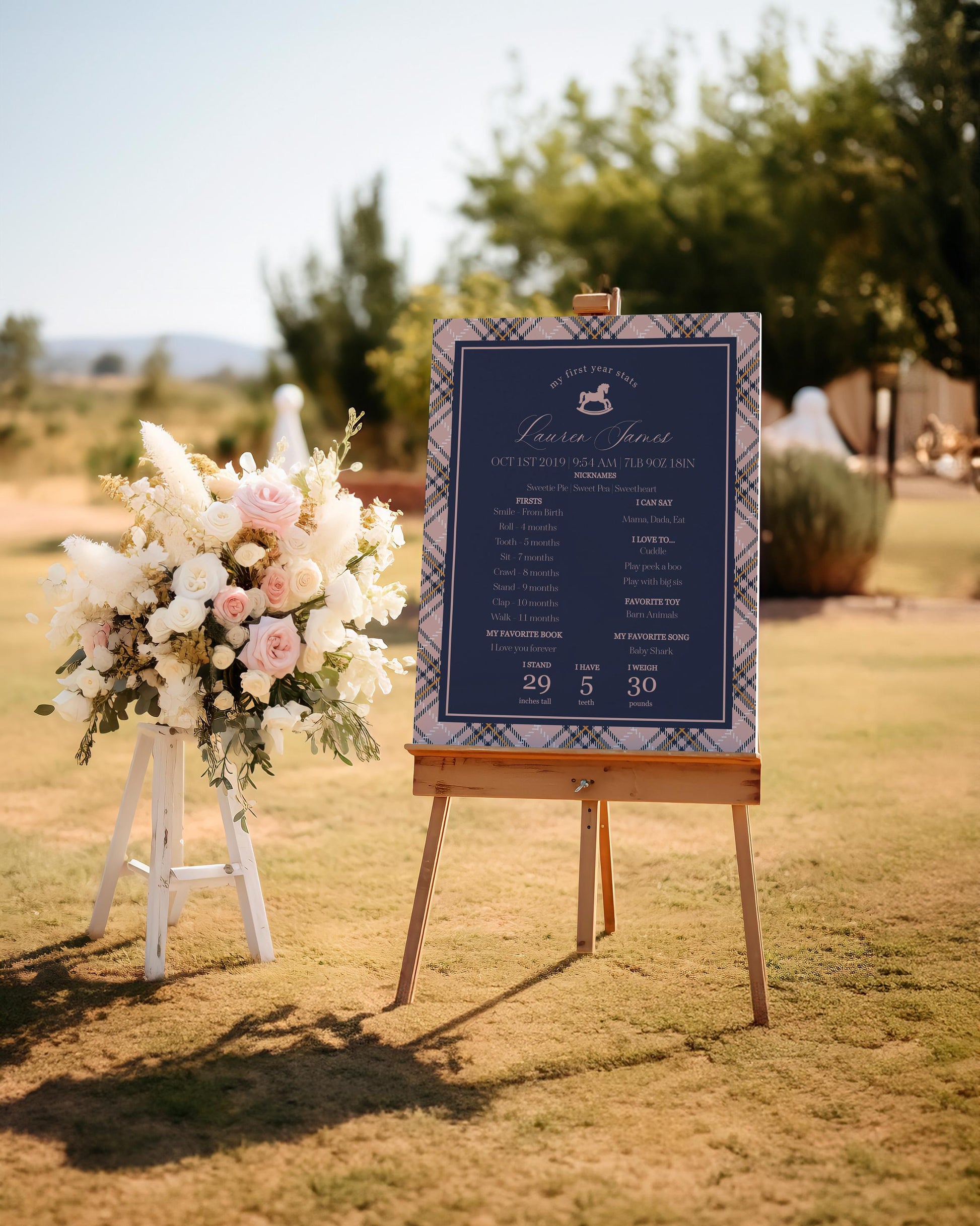 Classic Rocking Horse First Year Milestone Sign Printable Template, Pink Tartan Plaid First Birthday Party, Old Money Timeless Bday WP1088