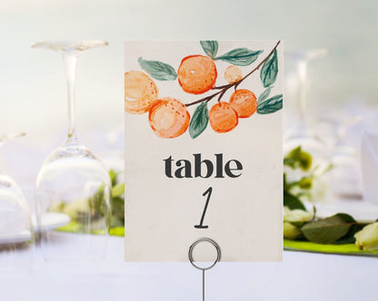 Little Cutie Table Numbers Printable Template, orange Cutie baby shower, citrus wedding shower table numbers, INSTANT DOWNLOAD corjl file