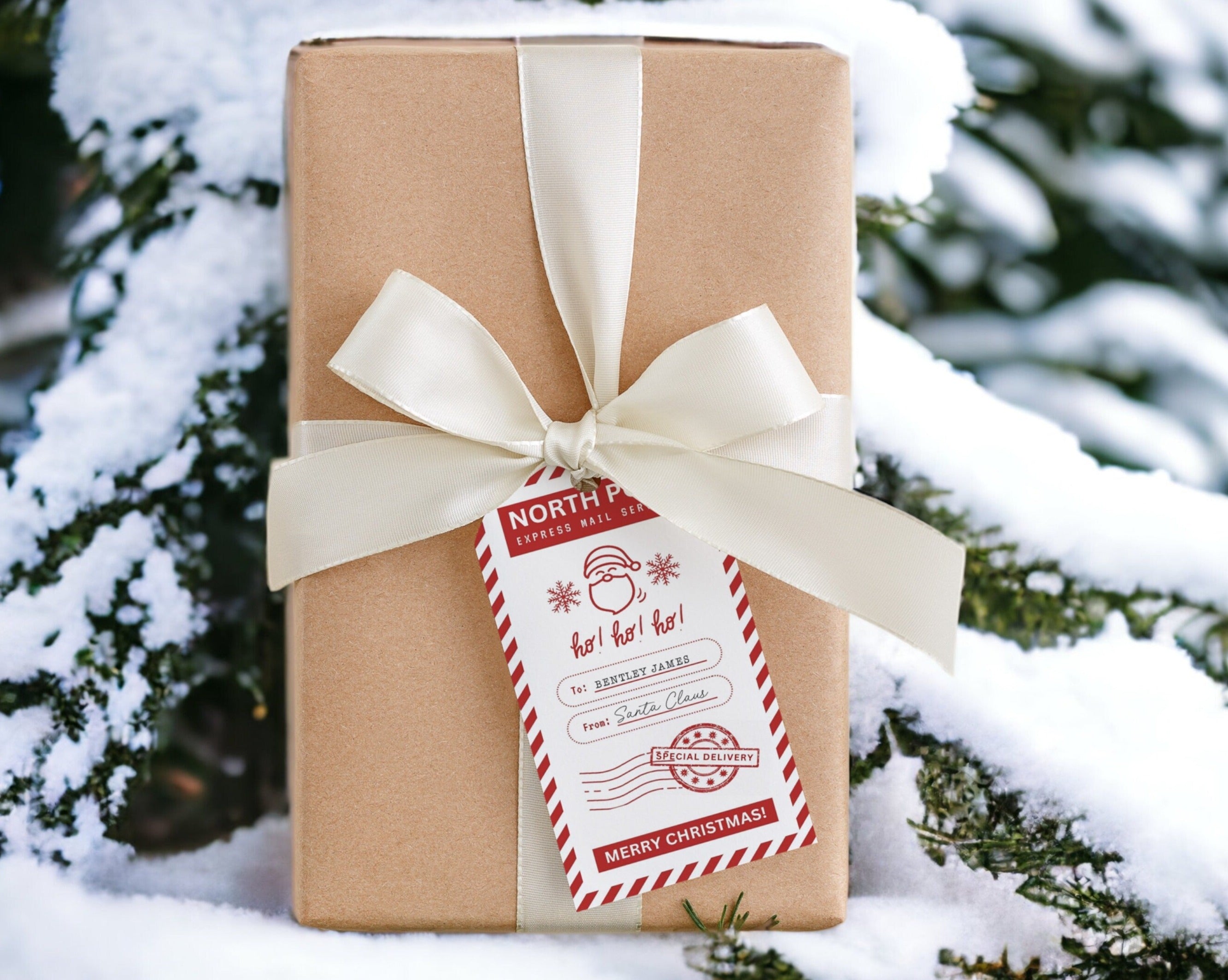 Special Delivery From Santa North Pole Gift Tag Printable, Instant Download DIY Christmas Gift Tag, Holiday Elf Gift Tags